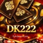 DK222 Game